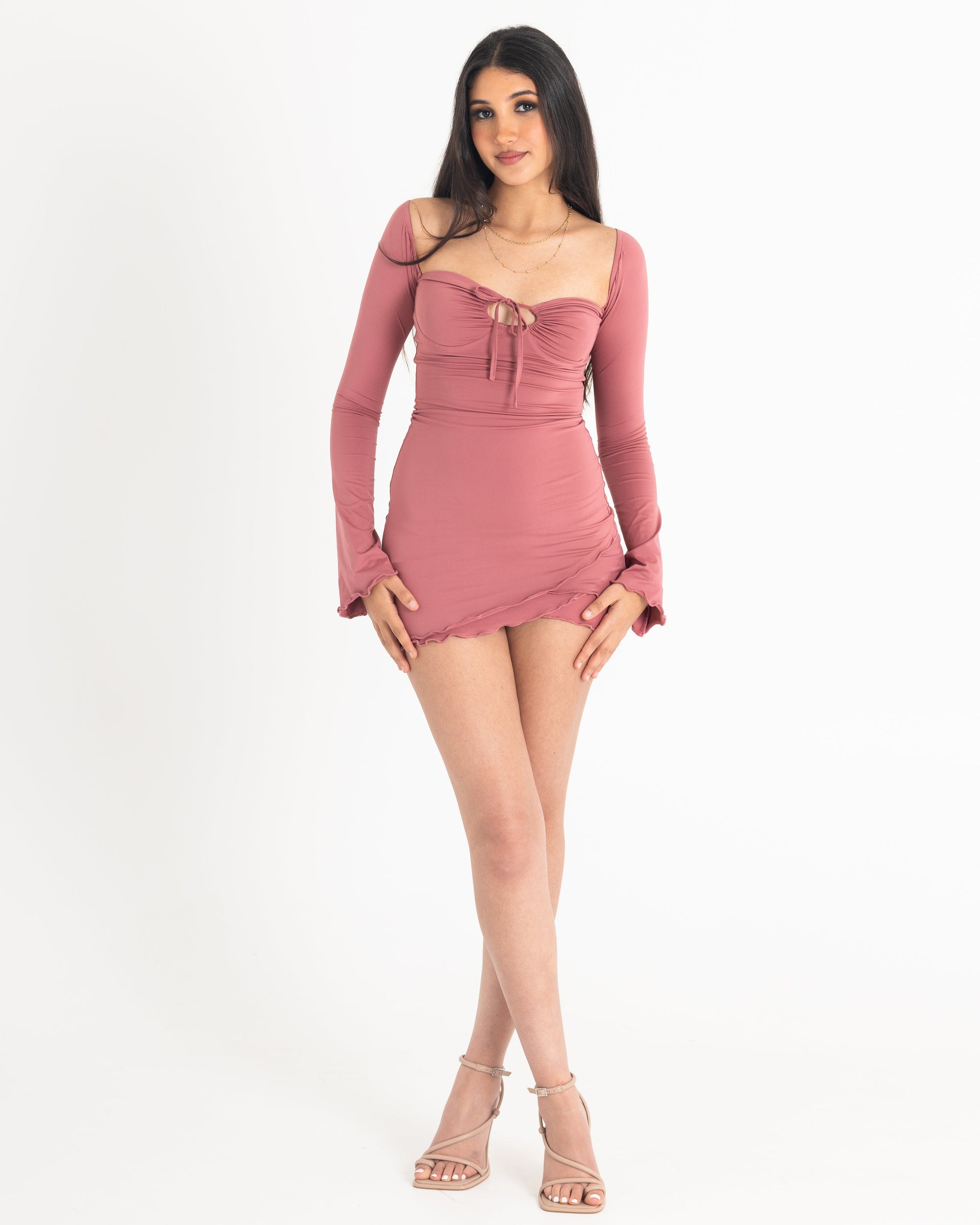 Vanessa Mini Dress in Rose