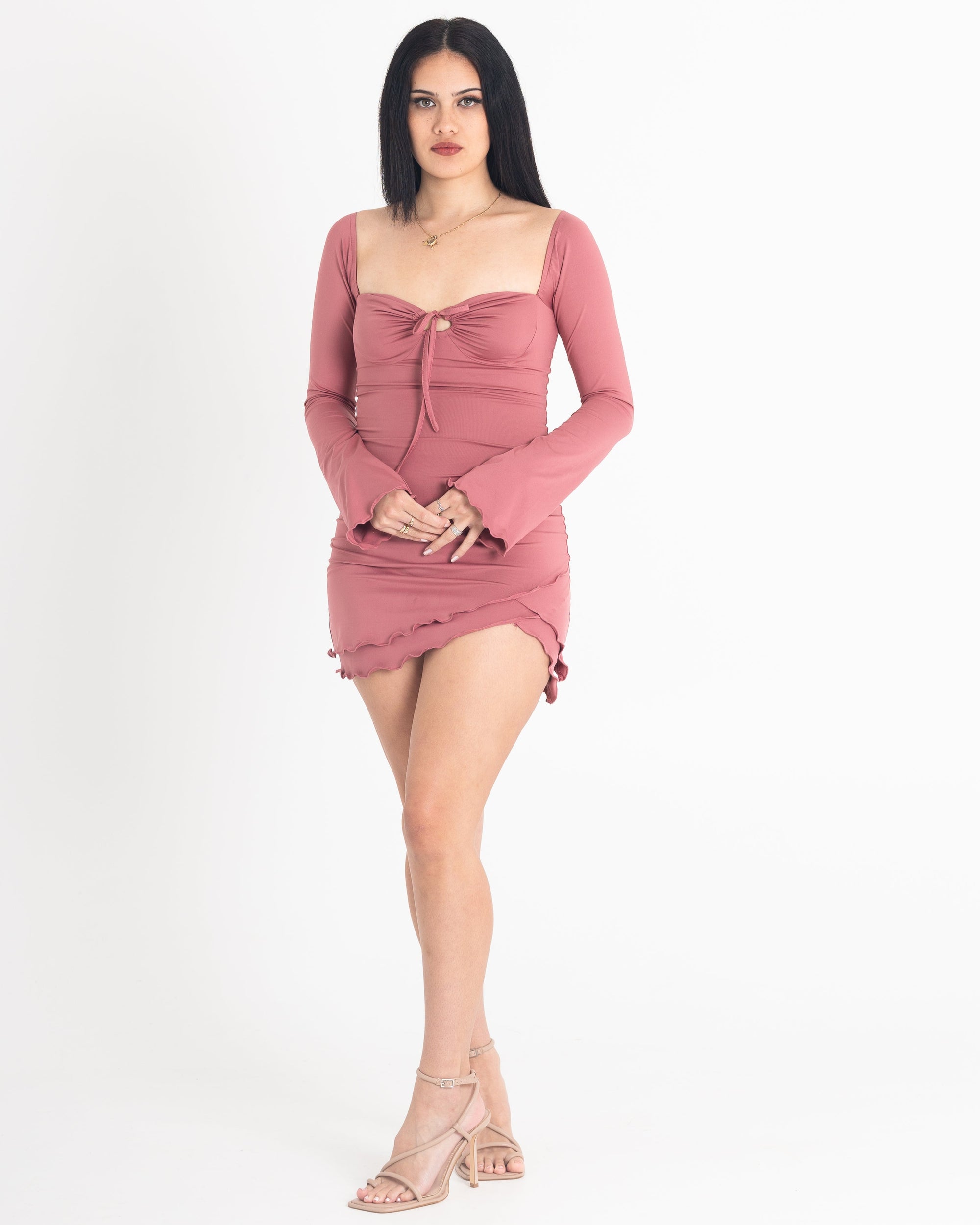 Vanessa Mini Dress in Rose